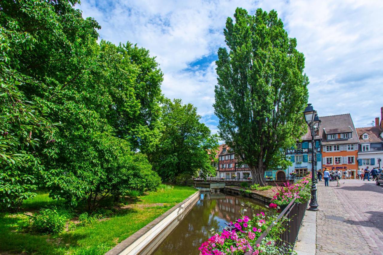Le Rapp - Centre Historique - Wifi - Tout Confort Colmar Dış mekan fotoğraf